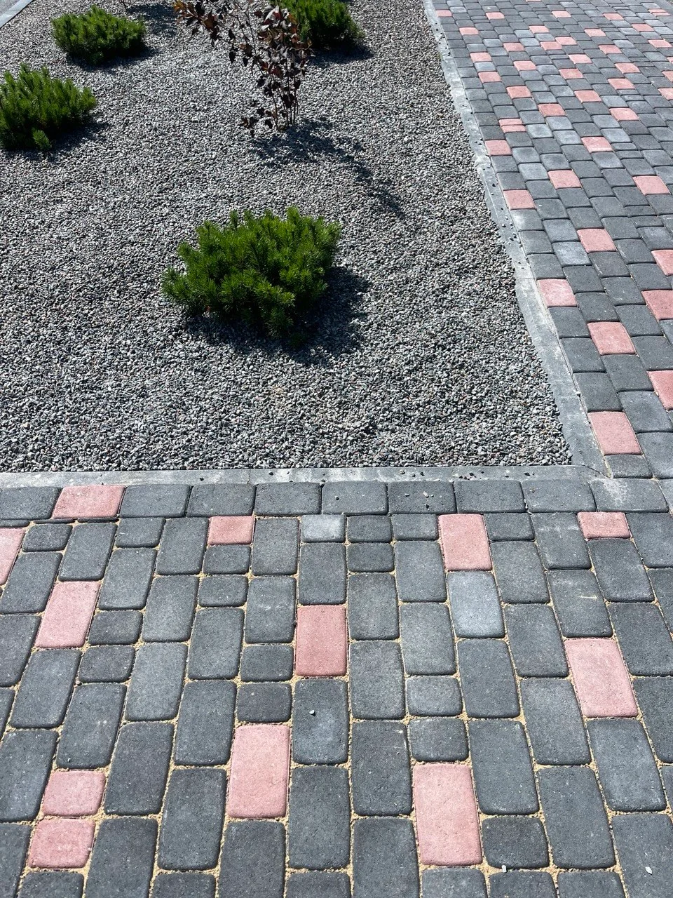 Ida Virumaa, pilt 8